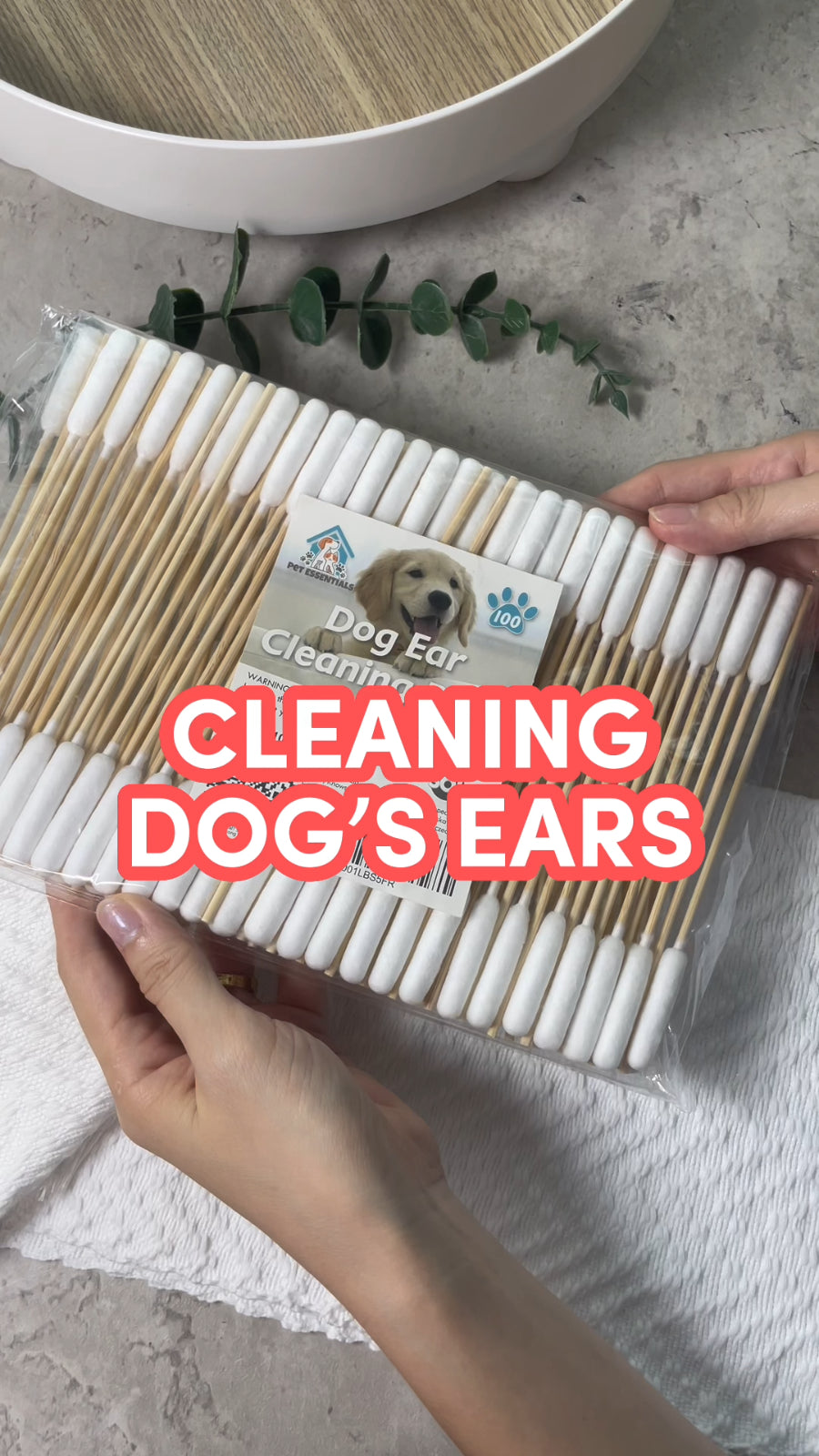 100-200 Dog Ear Cotton Buds 15Cm Long Extra Large | Pet Cleaning Bamboo Cleaner