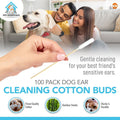 100-200 Dog Ear Cotton Buds 15Cm Long Extra Large | Pet Cleaning Bamboo Cleaner